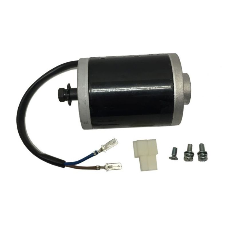 E90 - Motor (100W)